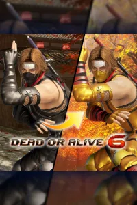 Костюм могучего ниндзя для DOA6 — Хаятэ