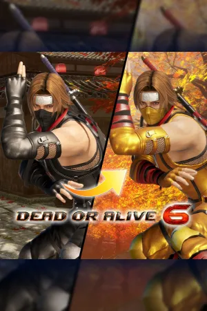 Костюм могучего ниндзя для DOA6 — Хаятэ