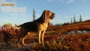 theHunter: Call of the Wild™ - Bloodhound