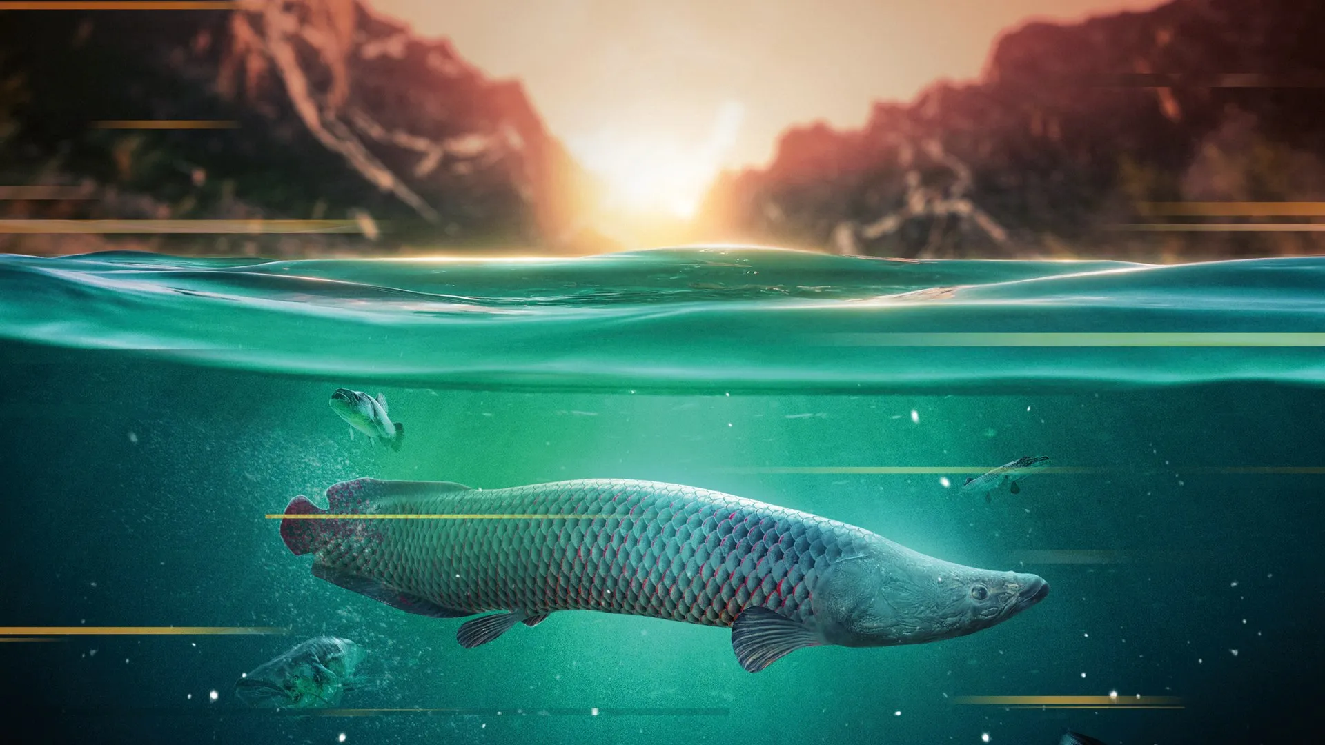The Catch: Carp & Coarse - Deluxe Edition — трейлер