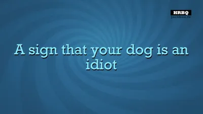 Quiplash 2 InterLASHional: The Say Anything Party Game! — скриншот 4