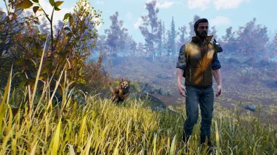 Open Country — скриншот 2