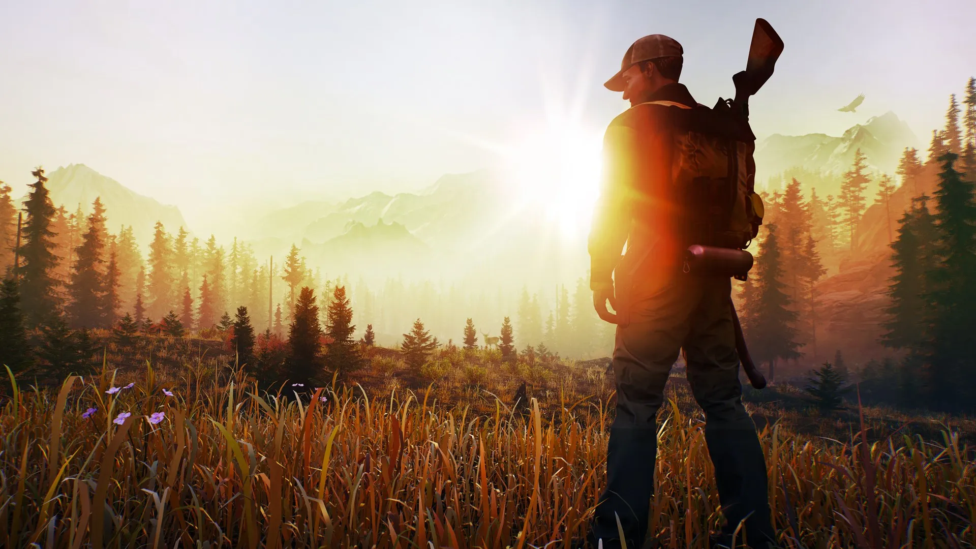 Open Country — трейлер