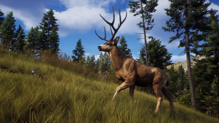 Way of the Hunter - Ultimate Edition — скриншот 4