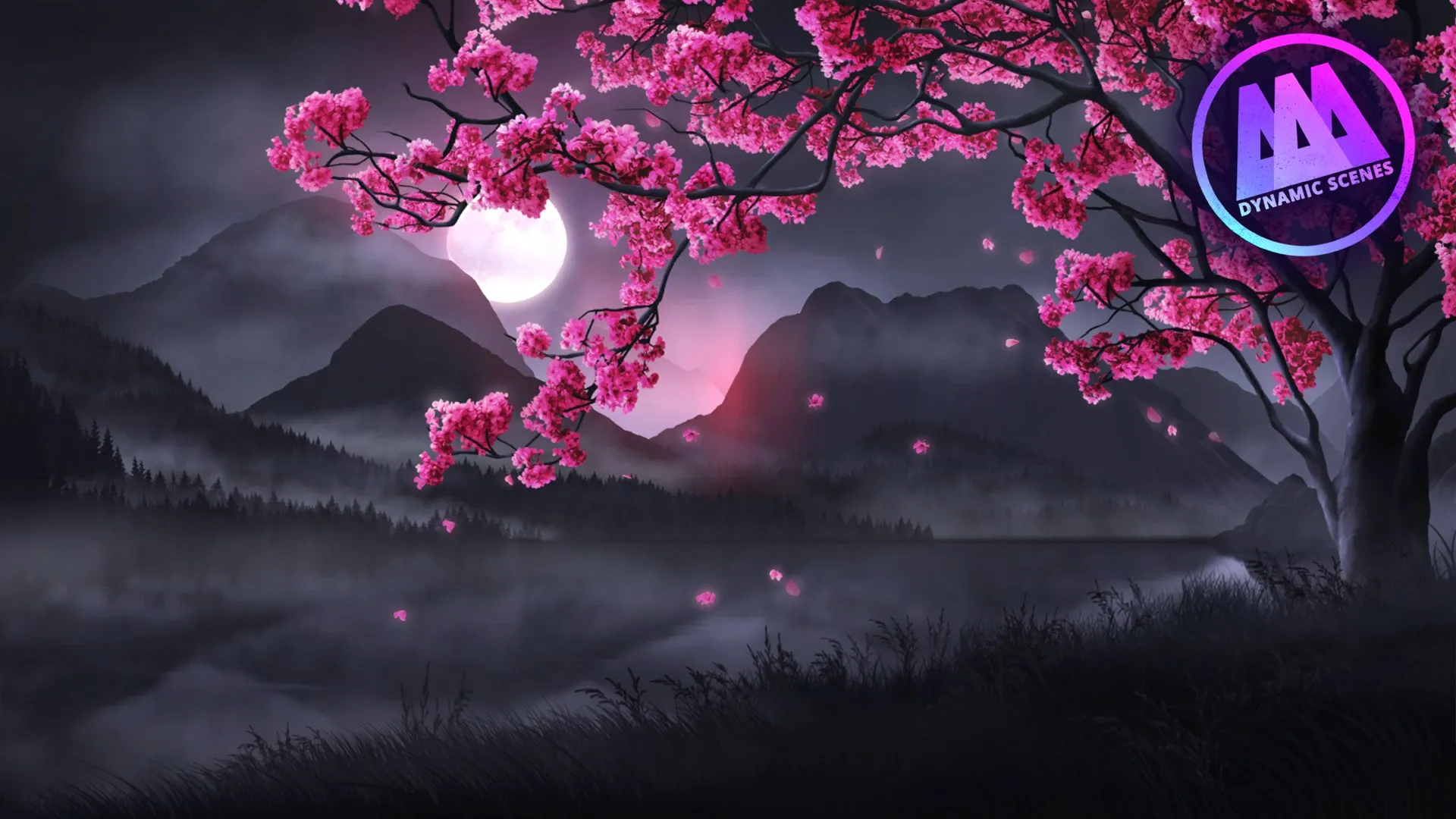 AAA Dynamic Scenes - Night of the Sakura Dynamic Scene