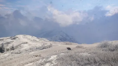 theHunter: Call of the Wild™ - Sundarpatan Nepal Hunting Reserve - Windows 10 — скриншот 3