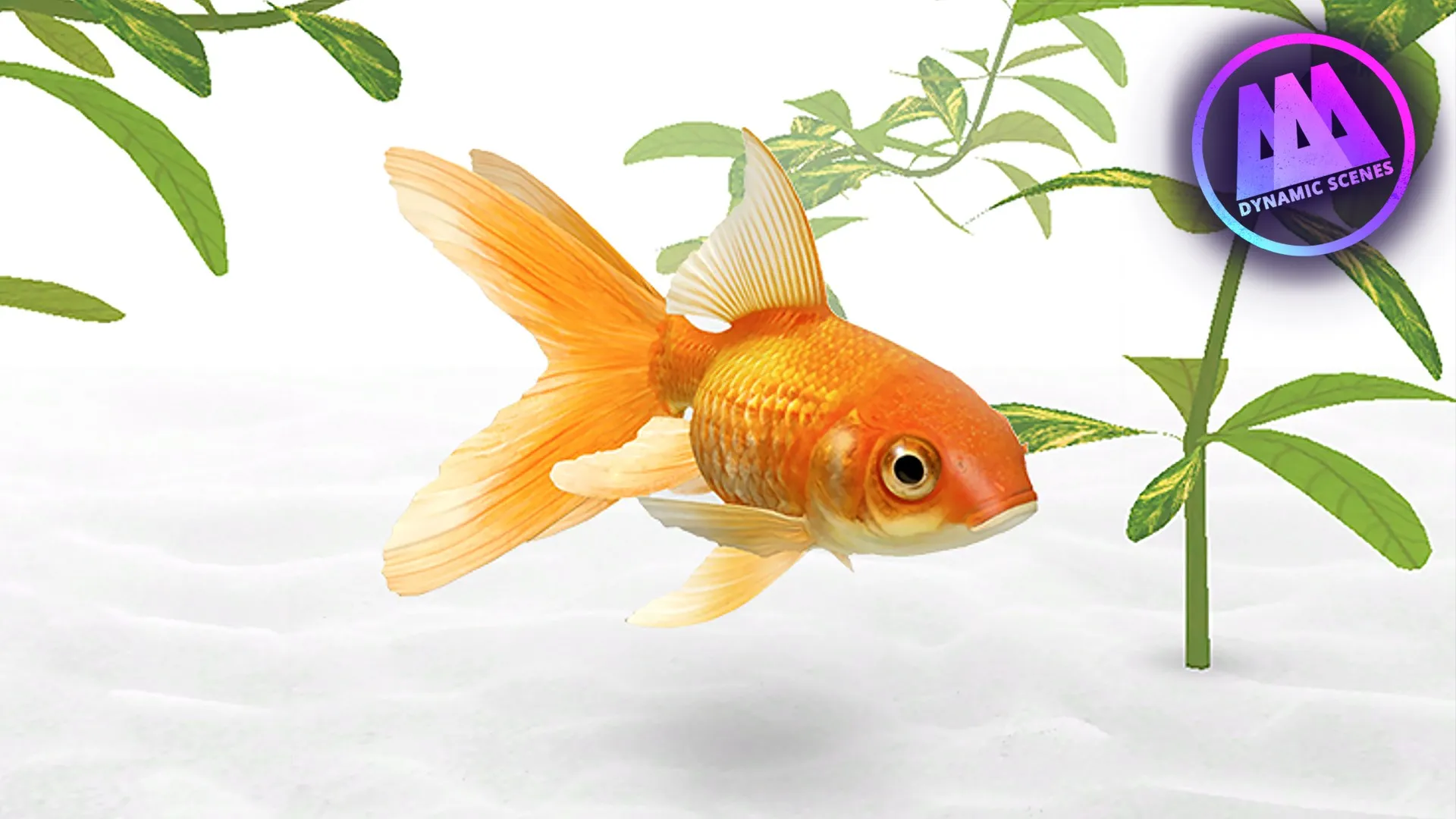 AAA Dynamic Scenes - Golden Fish Aquarium Dynamic Scene