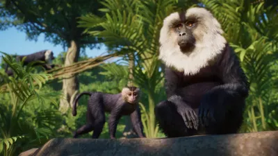 Planet Zoo: Наборы «Америки» и «Азия» — скриншот 9