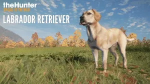 theHunter: Call of the Wild™ - Labrador Retriever