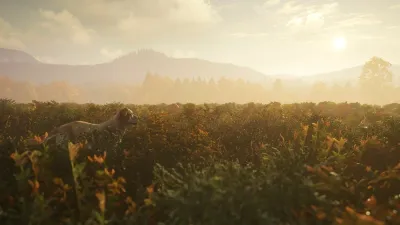 theHunter: Call of the Wild™ - Labrador Retriever — скриншот 2