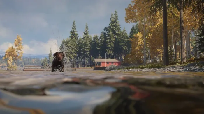theHunter: Call of the Wild™ - Labrador Retriever — скриншот 3