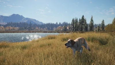 theHunter: Call of the Wild™ - Labrador Retriever — скриншот 6