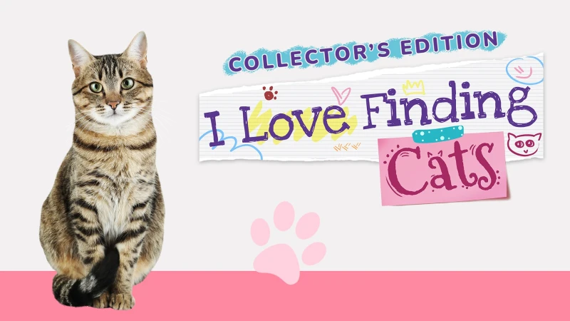 I Love Finding Cats Collector's Edition