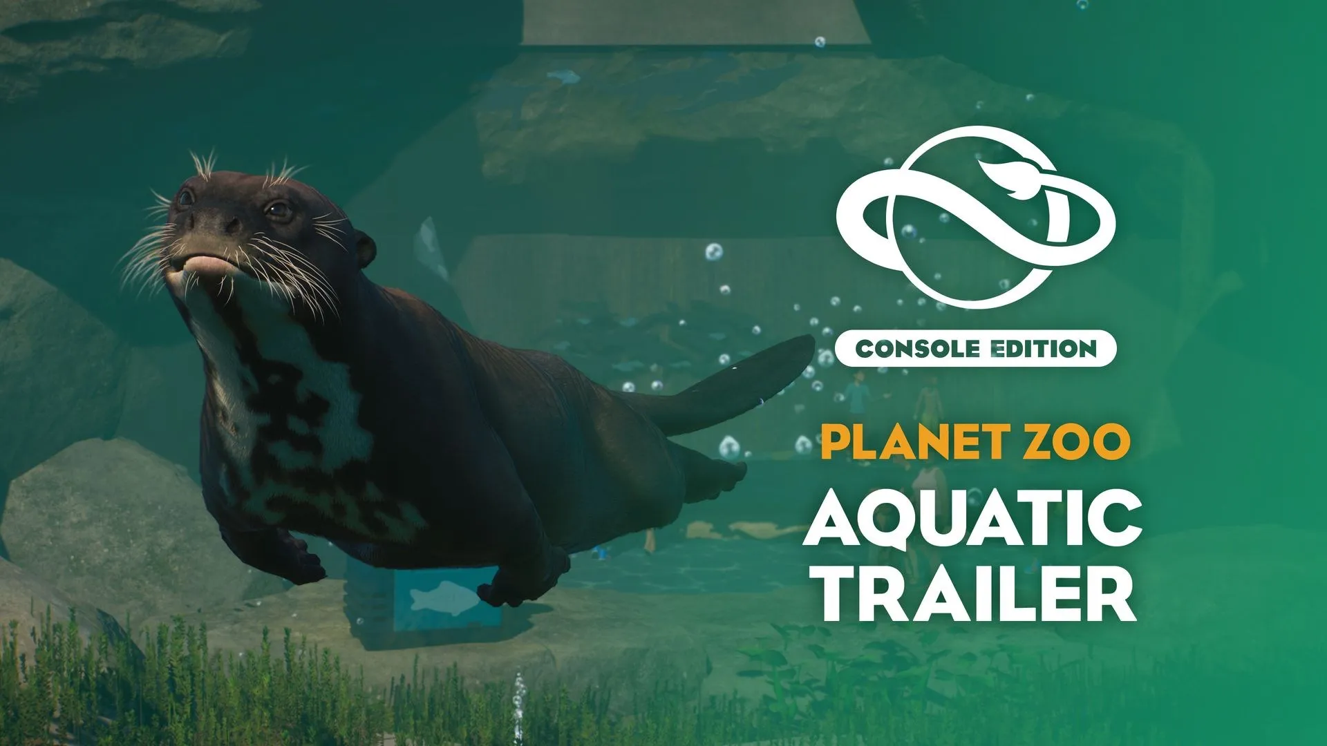 Planet Zoo: набор «Водный мир» — трейлер