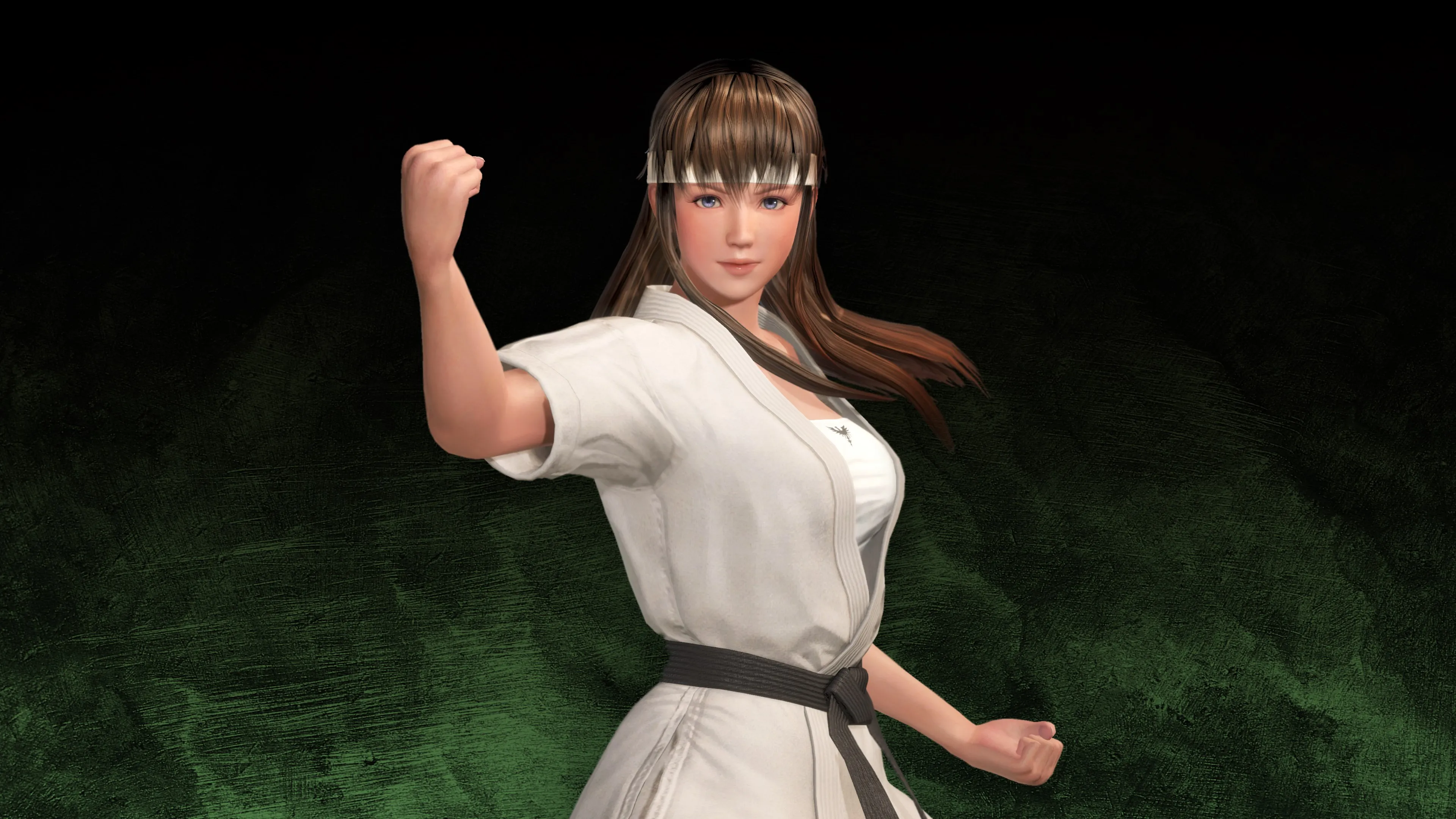 Персонаж для DOA6LR: Хитоми