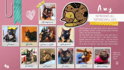 Sudocats — скриншот 7