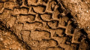 EA SPORTS™ WRC 24 — набор контента Le Maestros