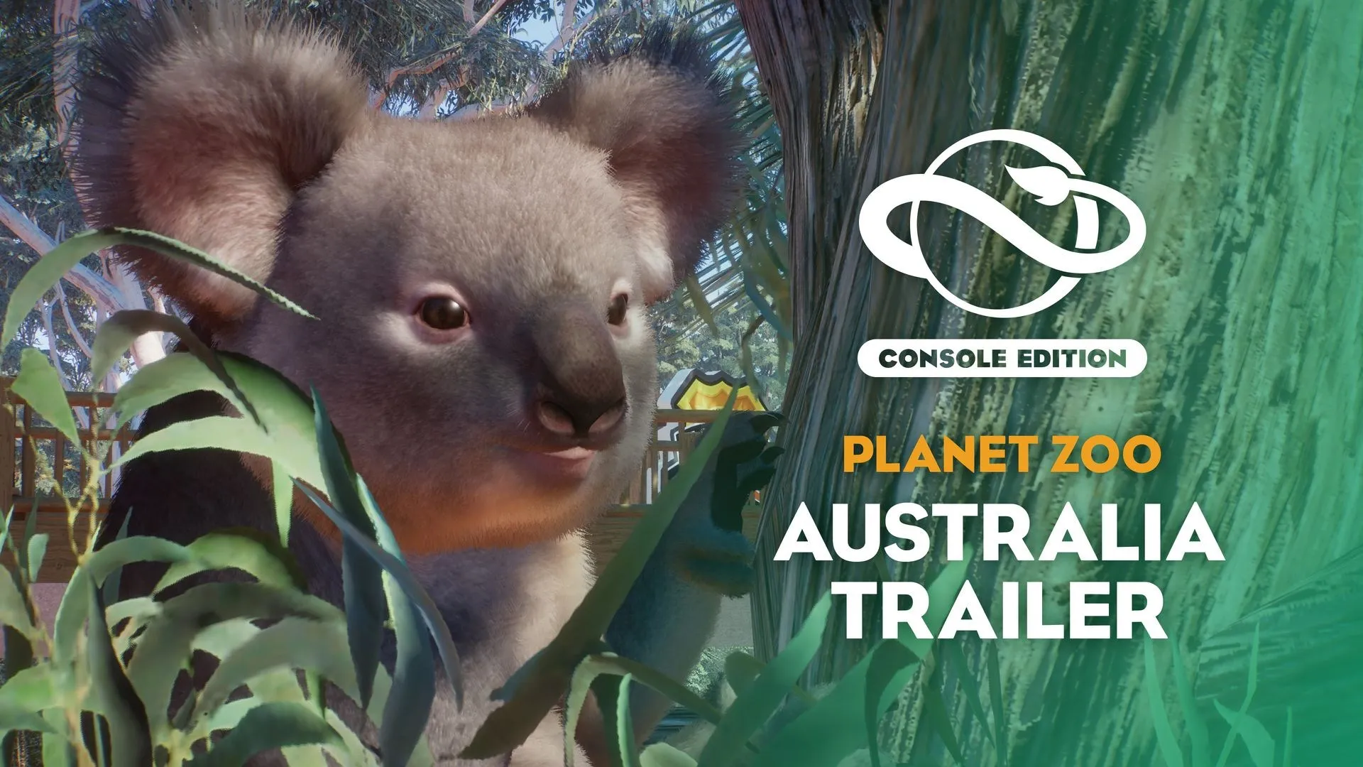 Набор «Австралия» для Planet Zoo — трейлер