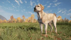 theHunter: Call of the Wild™ - Labrador Retriever - Windows 10