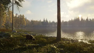 theHunter: Call of the Wild™ - Labrador Retriever - Windows 10 — скриншот 4