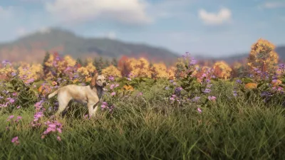 theHunter: Call of the Wild™ - Labrador Retriever - Windows 10 — скриншот 8