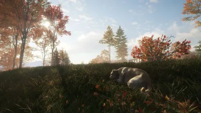 theHunter: Call of the Wild™ - Labrador Retriever - Windows 10 — скриншот 9