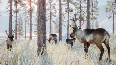 Planet Zoo: наборы «Арктика» и «Сохранение дикой природы» — скриншот 7