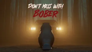 Don't Mess With Bober
