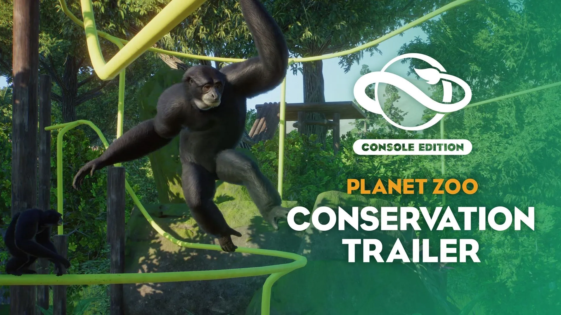 Planet Zoo: набор «Сохранение дикой природы» — трейлер