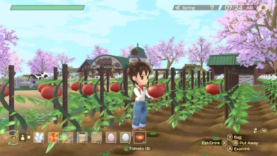 STORY OF SEASONS: A Wonderful Life — скриншот 6