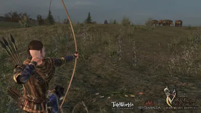 Mount & Blade: Warband - Viking Conquest Reforged Edition — скриншот 4