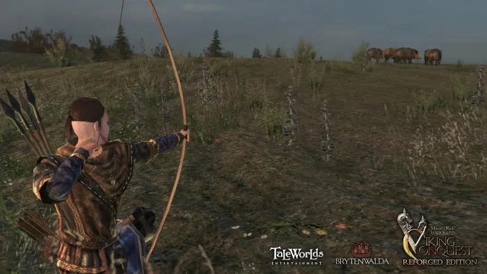 Mount & Blade: Warband - Viking Conquest Reforged Edition — скриншот 4