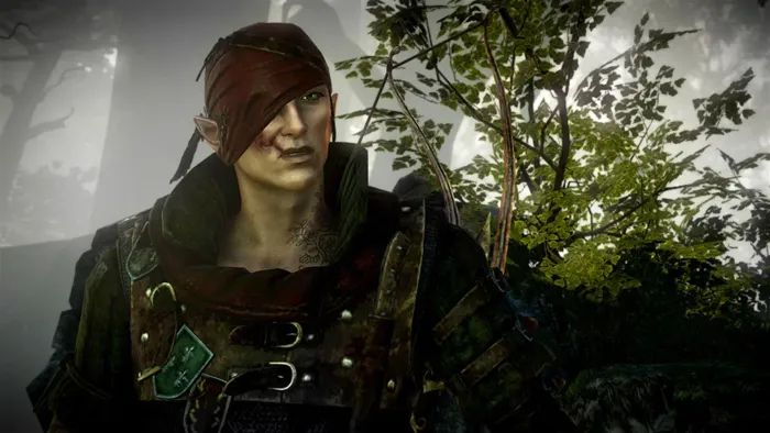 The Witcher 2: Assassins of Kings — скриншот 9
