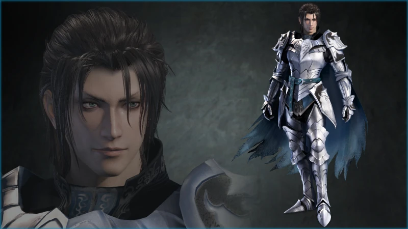 DYNASTY WARRIORS 9: Jia Chong "Knight Costume"