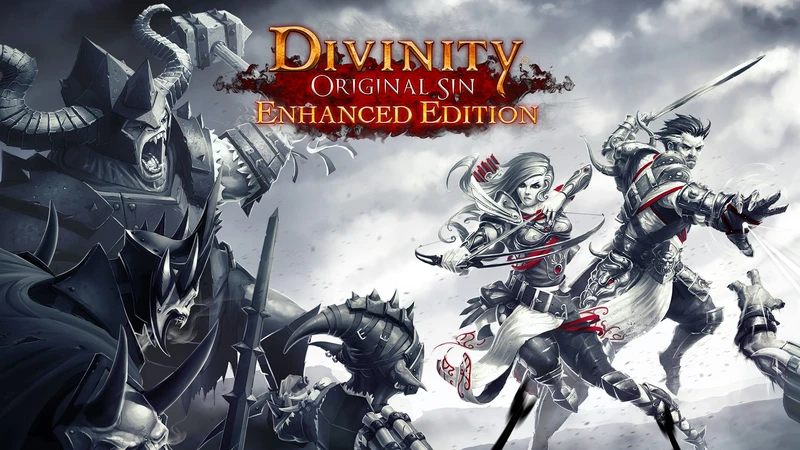 Divinity: Original Sin - Enhanced Edition