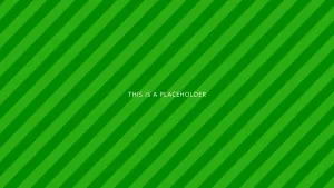 Muay Thai Style Pack