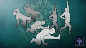 Комплект дополнительных жестов 3