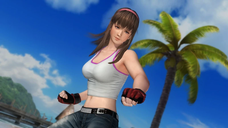 Персонаж DEAD OR ALIVE 5 Last Round: Хитоми