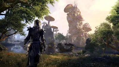 The Elder Scrolls® Online — скриншот 3