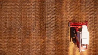 Real Farm — скриншот 4