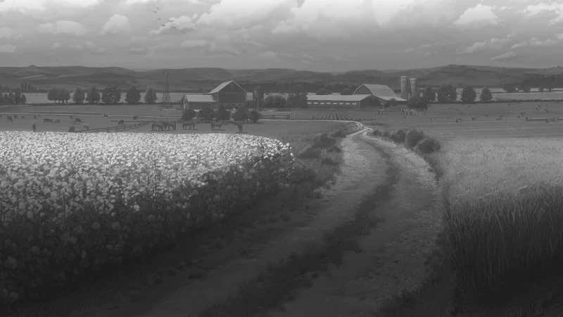 Farming Simulator 19 - Anderson Group Equipment Pack