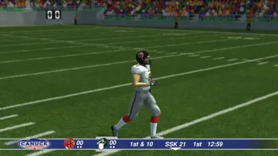 Canadian Football 2017 — скриншот 2