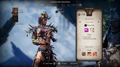 Divinity: Original Sin 2 - Definitive Edition — скриншот 4