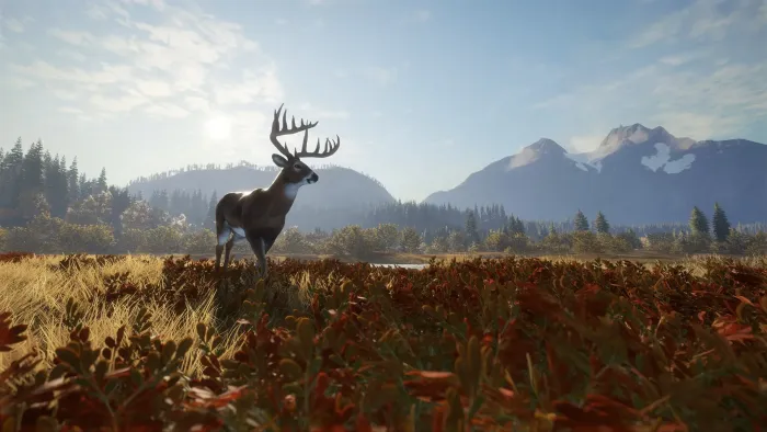 theHunter: Call of the Wild™ — скриншот 9