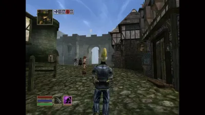 The Elder Scrolls III: Morrowind — скриншот 14