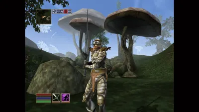 The Elder Scrolls III: Morrowind — скриншот 15