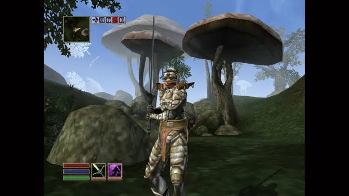 The Elder Scrolls III: Morrowind — скриншот 15