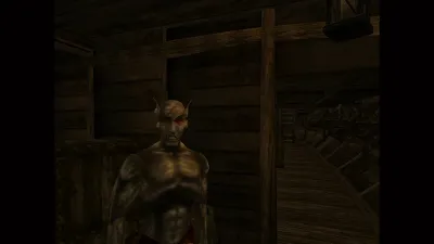 The Elder Scrolls III: Morrowind — скриншот 2
