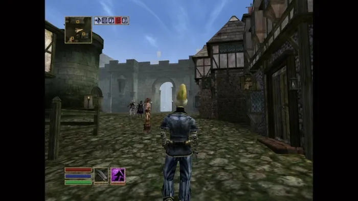 The Elder Scrolls III: Morrowind — скриншот 4