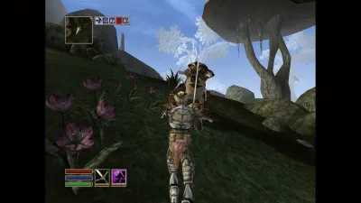 The Elder Scrolls III: Morrowind — скриншот 5
